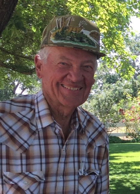 Obituary of Almon William Vineyard