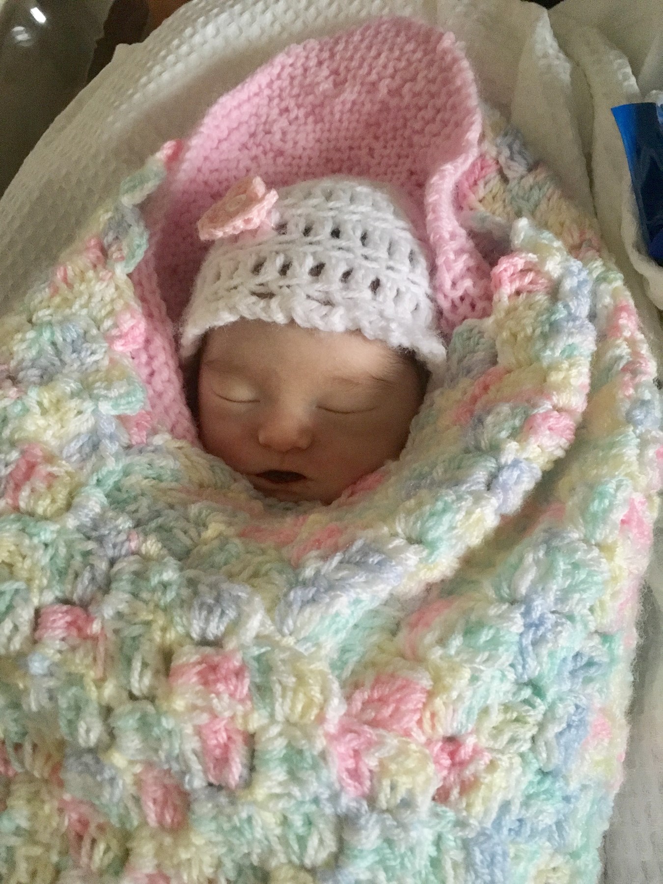 Obituary of Phoebe Virginia Cross