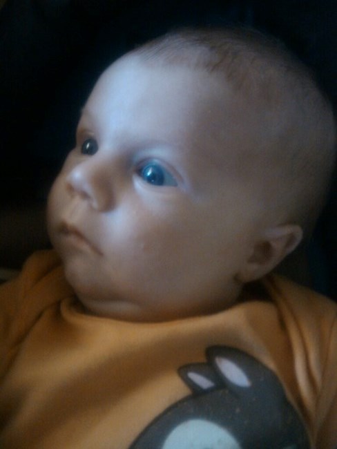 Obituary of Breadan James Maxwell