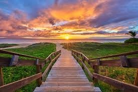 Obituary of Ellyn Akemi Reilly