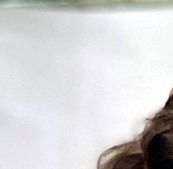 Patricia Raney Obituary - North Little Rock, AR