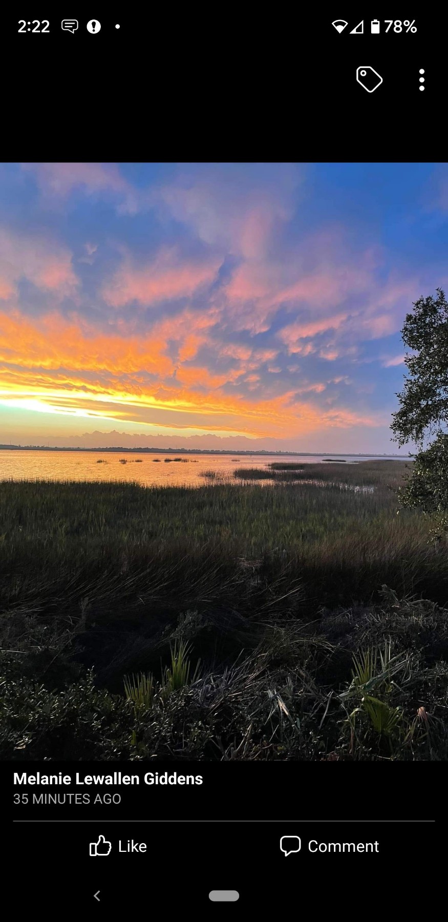 Obituary of James Lewis Wesson