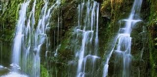 Obituary of Michael A. Moist