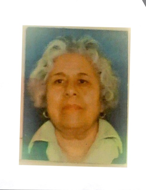 Obituary of Elvira A Vega