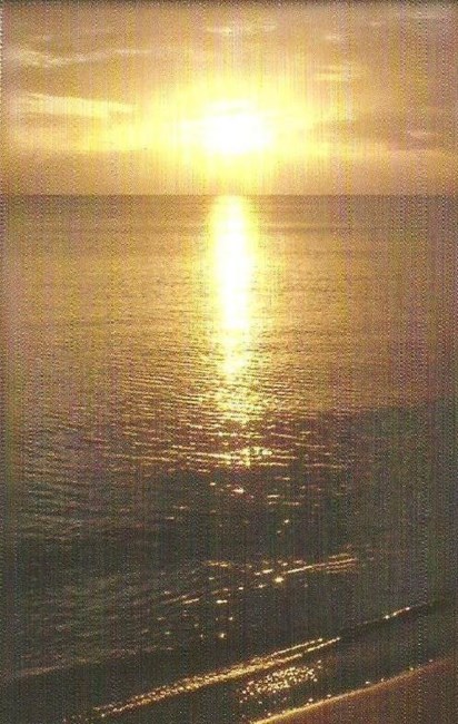 Obituary of Cheryl Gaglione