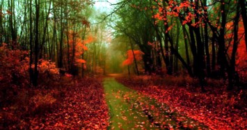 Obituary of Forence Ryder