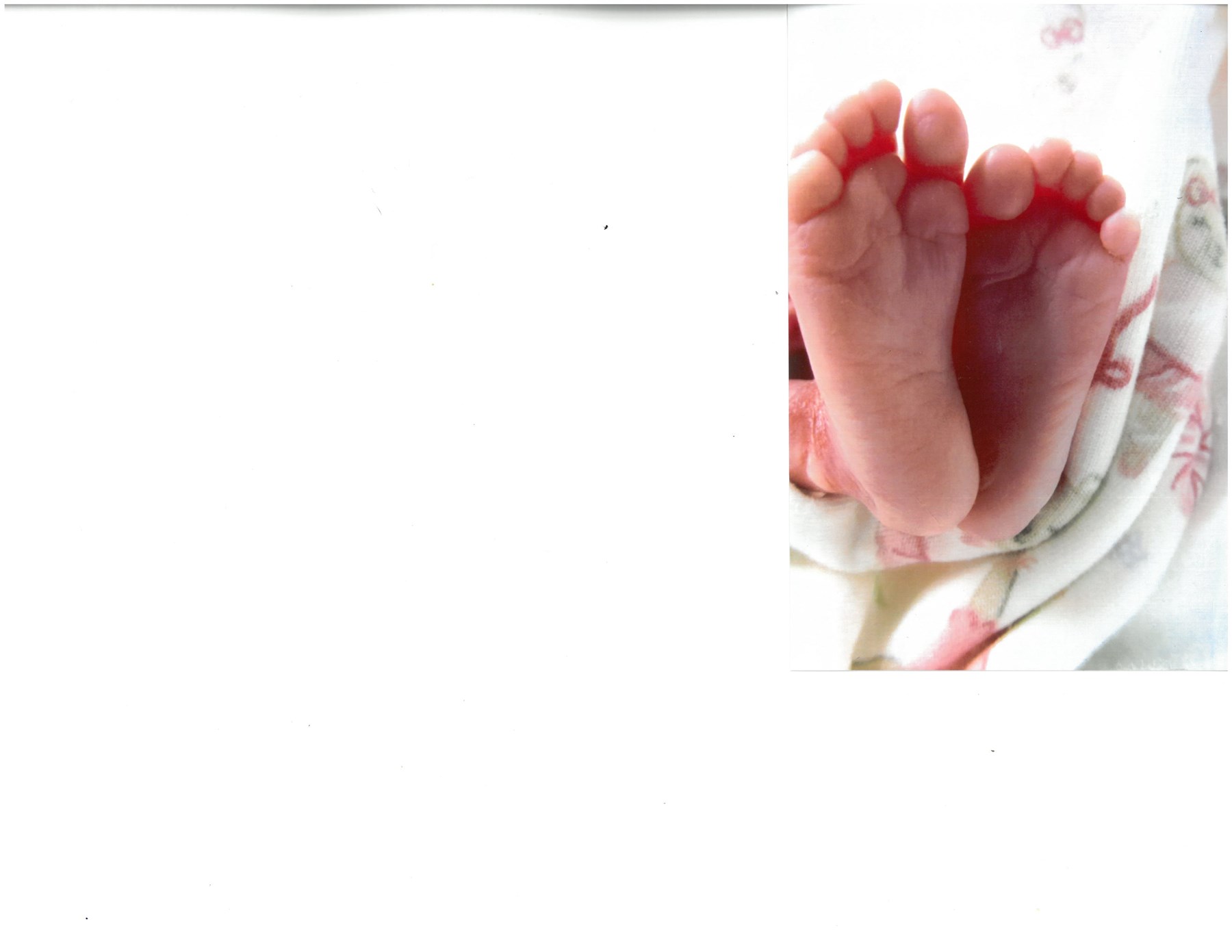 Obituary of Olivia Arredondo Garcia