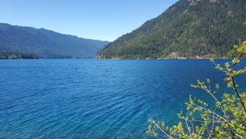 Obituary of Charles Maurice Scott