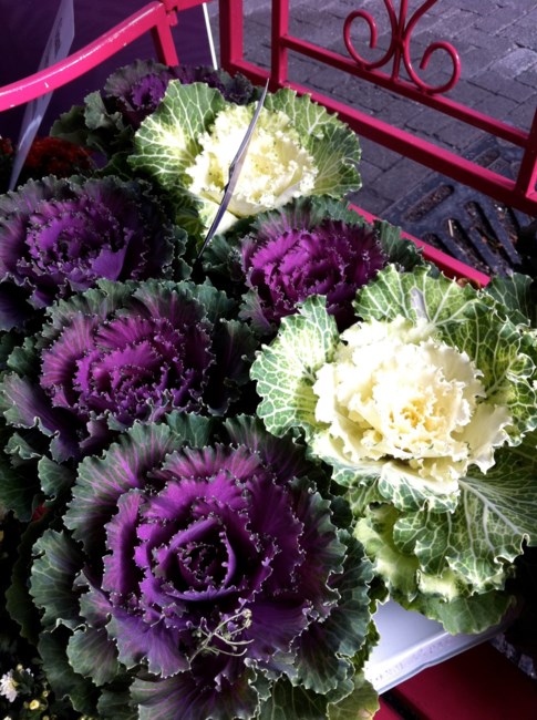 Obituary of Ernestine Brooks