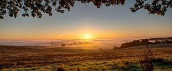 Obituary of Robert Lawrence Taylor