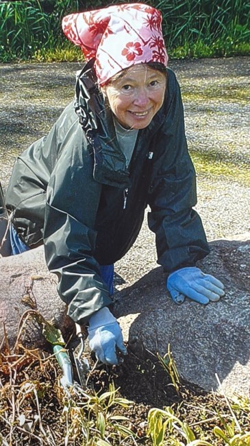 Obituary of Carol Anne Sawyer