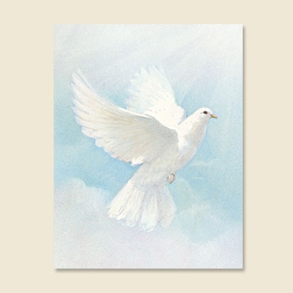 Obituary of Helen C. Shannon