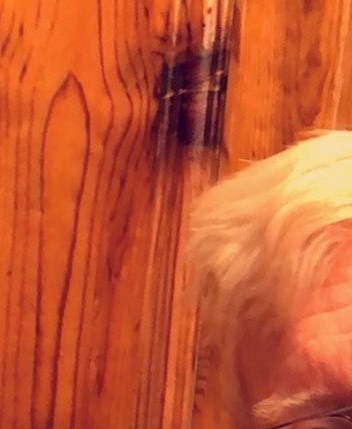 Dean Obituary Middletown, OH