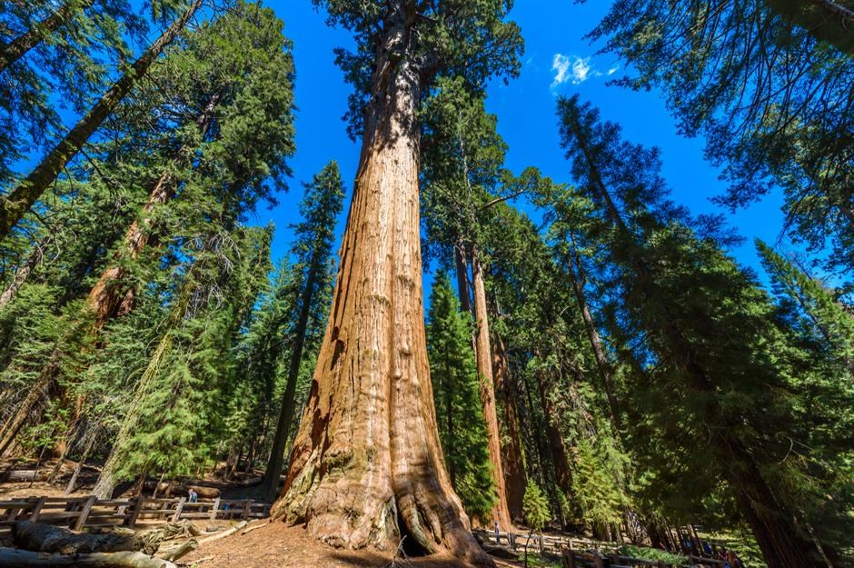 Alex Hester Obituary - Salem, OR