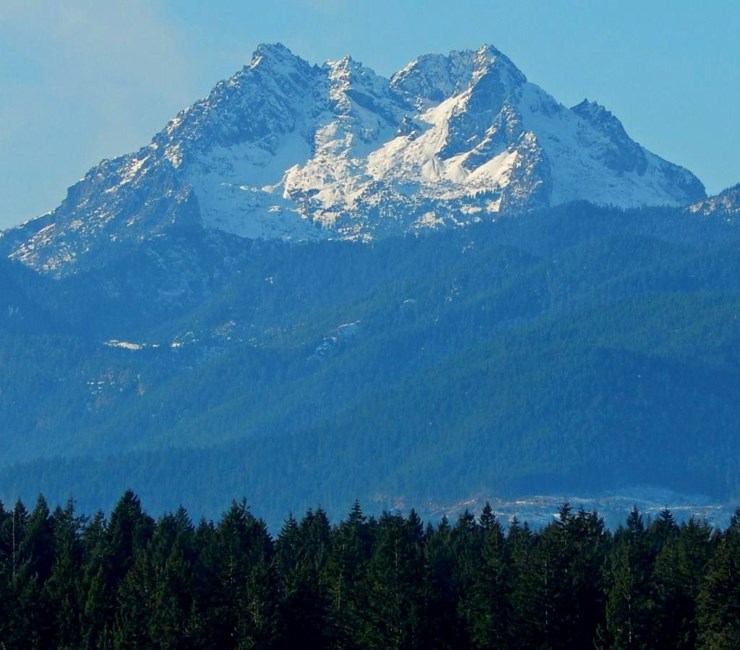 Obituary of Noor Mohamed