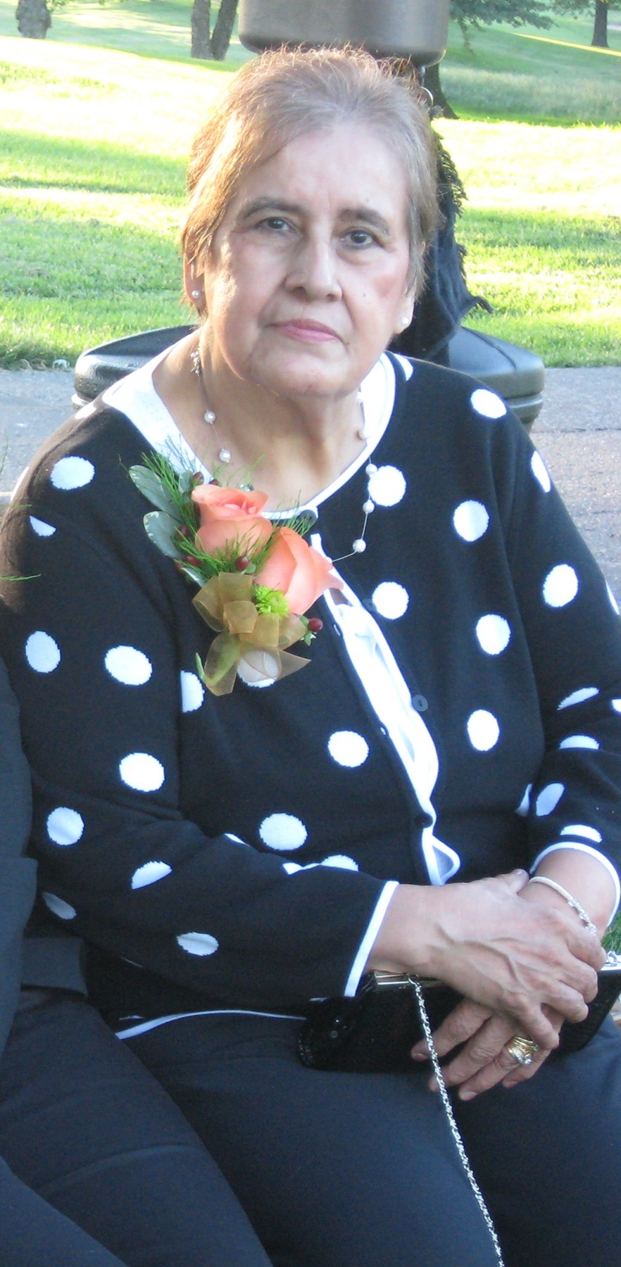 Obituary of Carmen Dominguez