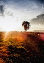 Obituary of Richard Wagner