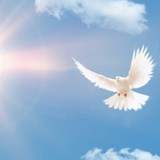 Obituary of Mr. George Benson