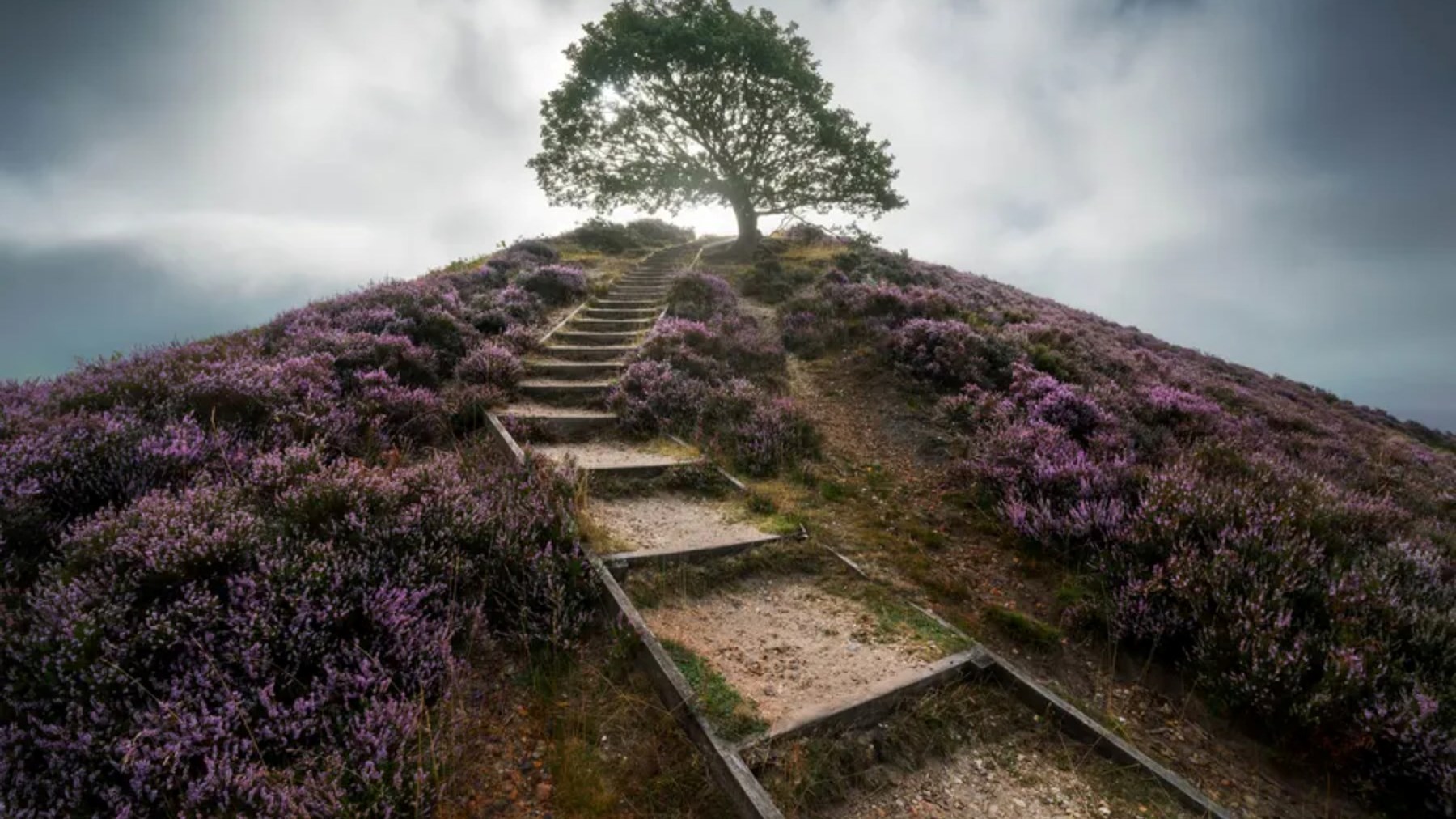 Obituary of Ernest "Ernie" Eugene Johnson