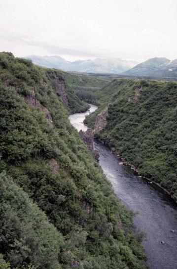 Obituary of Rose Mae Taylor