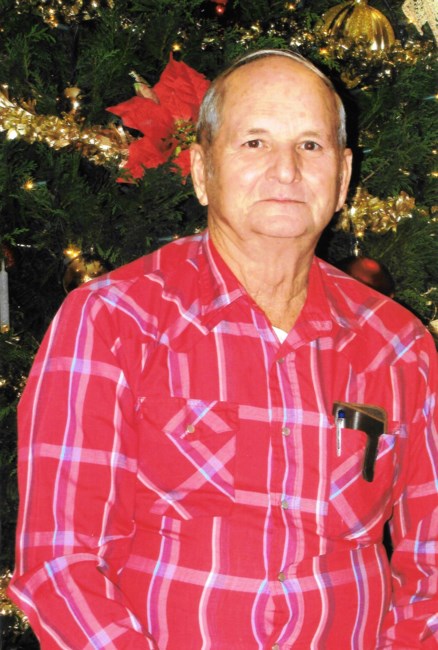 Obituary of Alvie Aaron Williams