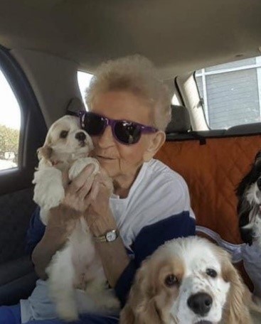 Obituary of Gayle June Meier