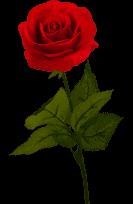 Obituary of Celina Lynn Casados