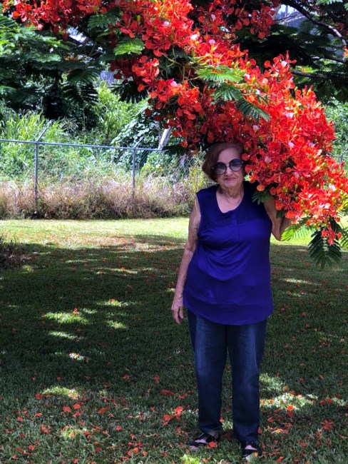 Obituary of Gladis Guzmán Casals