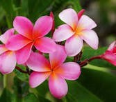 Obituary of Lorene Rose Russell