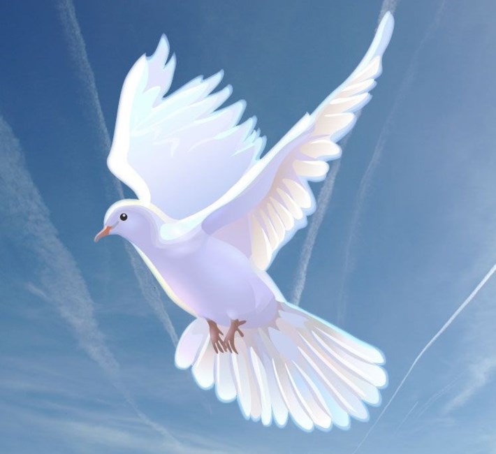 Obituary of Deborah Kay Wise