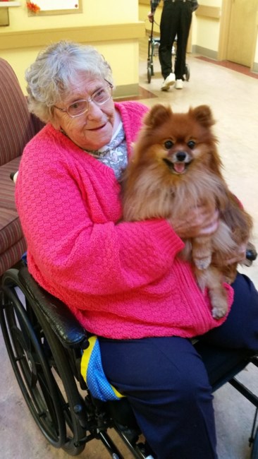 Obituary of Shirley Mae McCarty