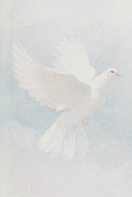 Obituary of Mercedes S. Pagán Fernández