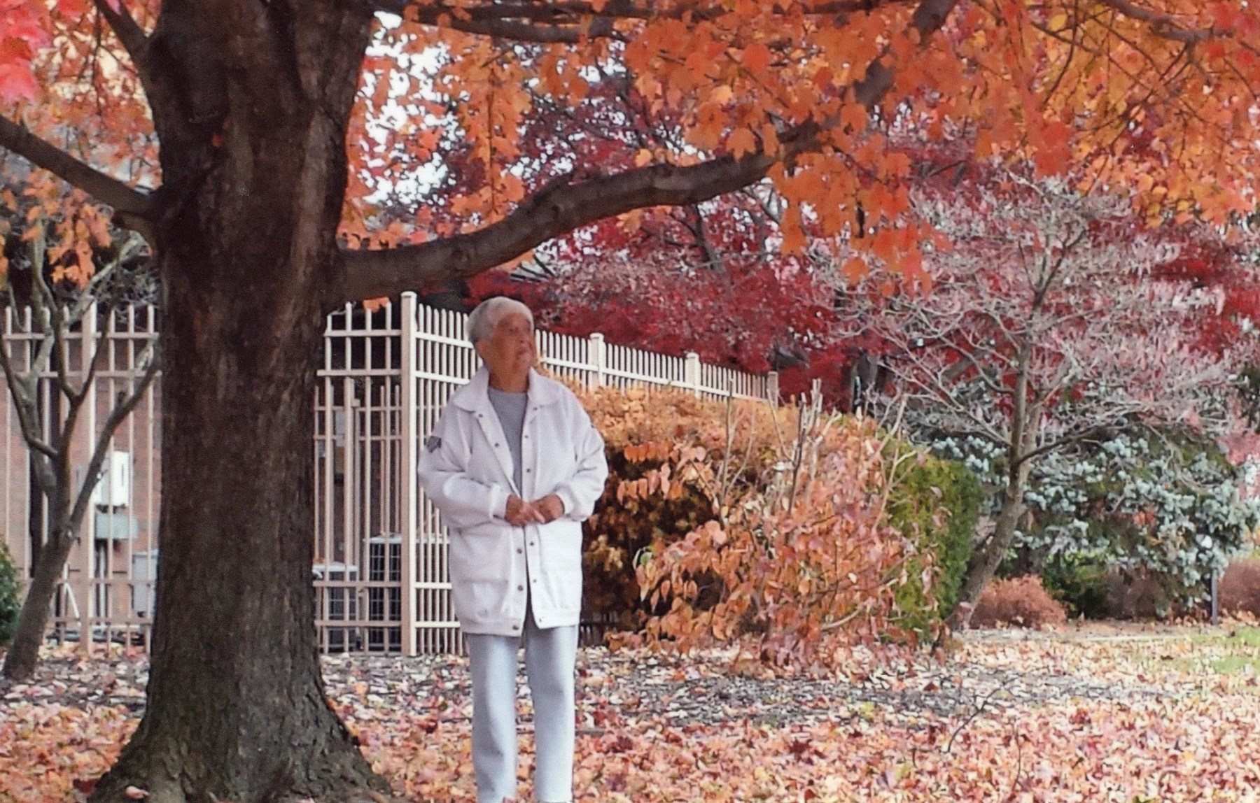 Nancy Davis Obituary Oklahoma City, OK