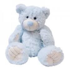 Obituary of Nicolas Andres Sanchez