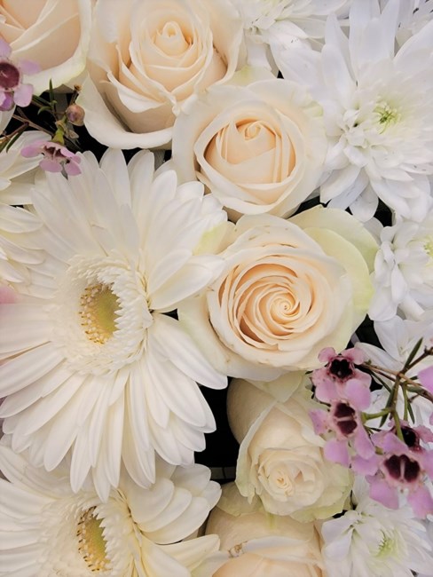 Obituary of Kwong Hon Pang