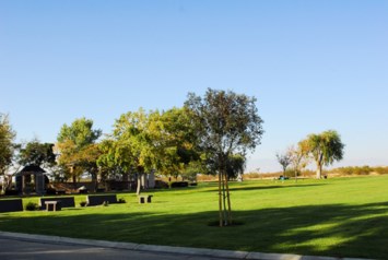 Obituary of Robin Elaine Odell Phillips