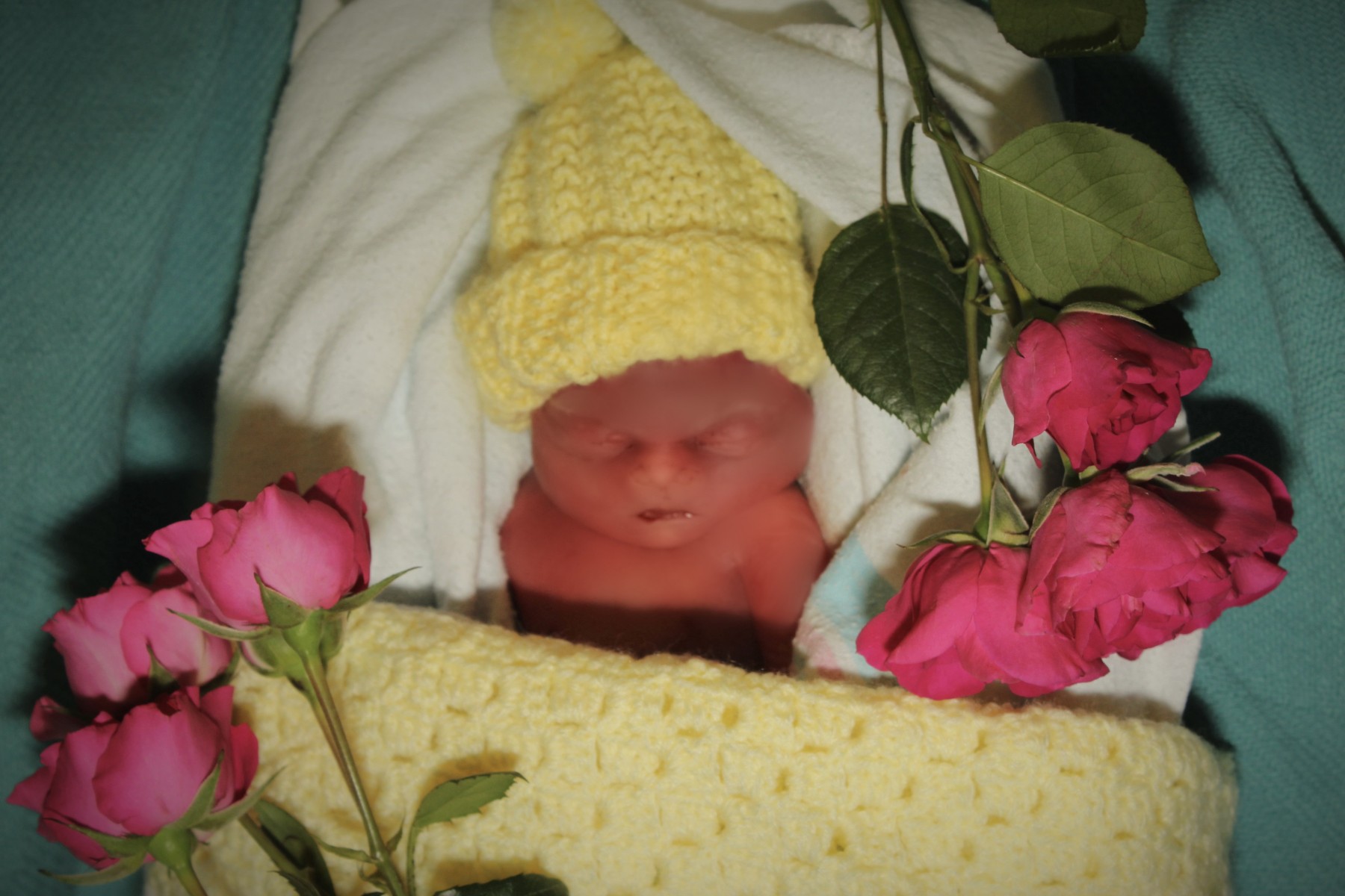 Abigail Baird Obituary - Del City, OK