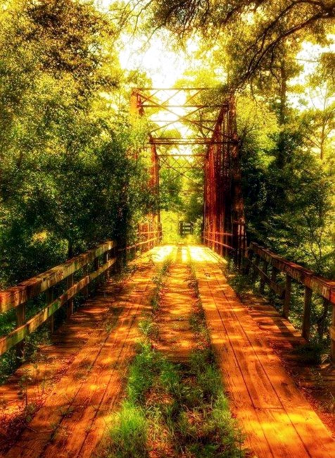 Obituary of Charles Gressett