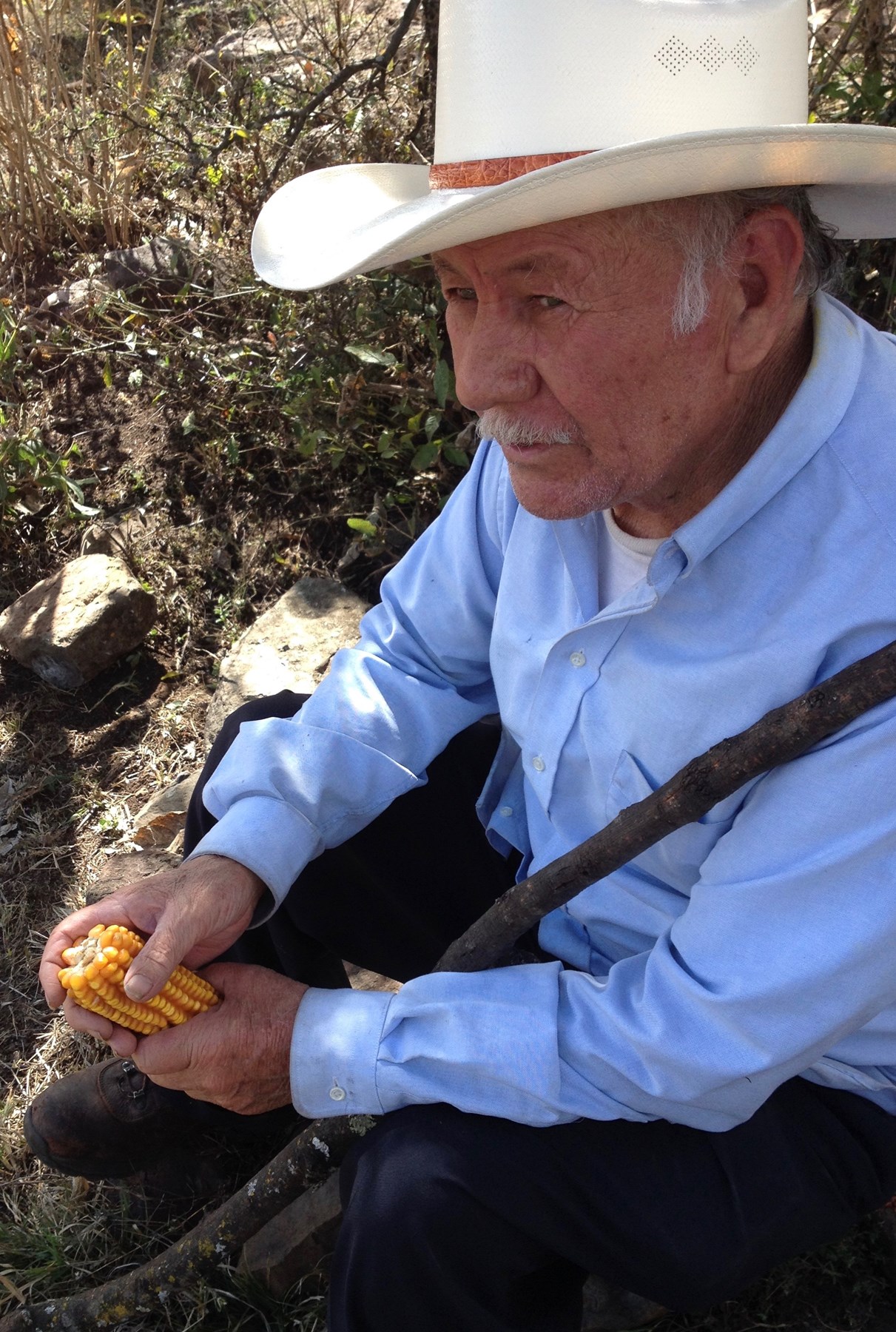 Obituary of Felipe Moralez Calderon Sr.