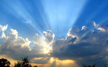 Obituary of Barbara Ann Miller Georg