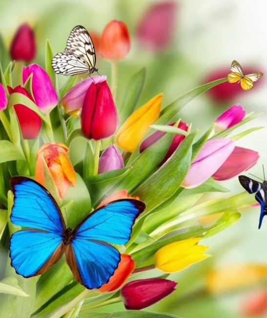 Obituary of Jennifer Lynn Pham