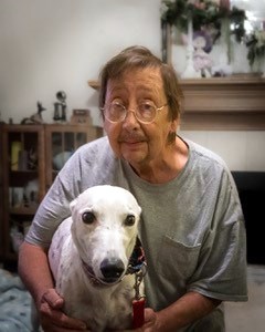 Obituary of Thomas Steven Beckmeyer Jr.