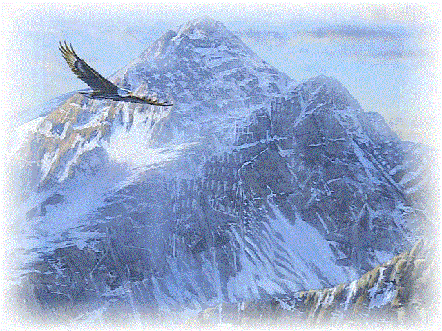 Obituary of Archie Mack Hall