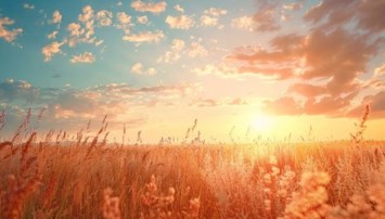 Obituary of Frank Vincent Callahan