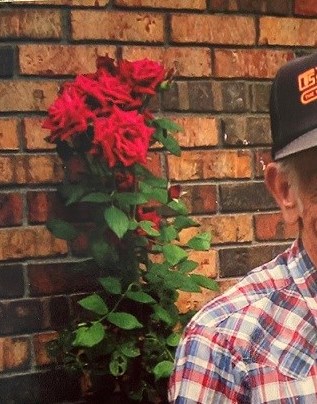 Charles Fultz Obituary - New Tazewell, TN