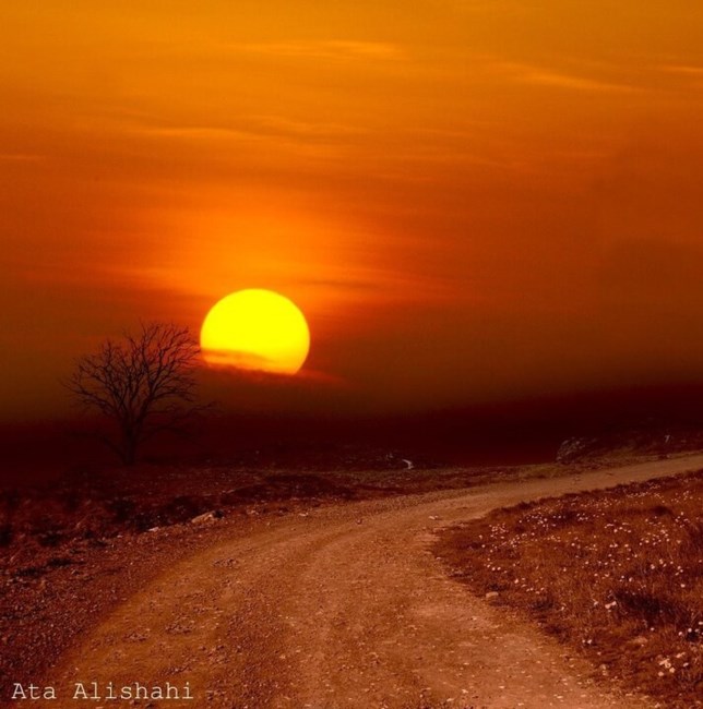 Obituary of Peter Green