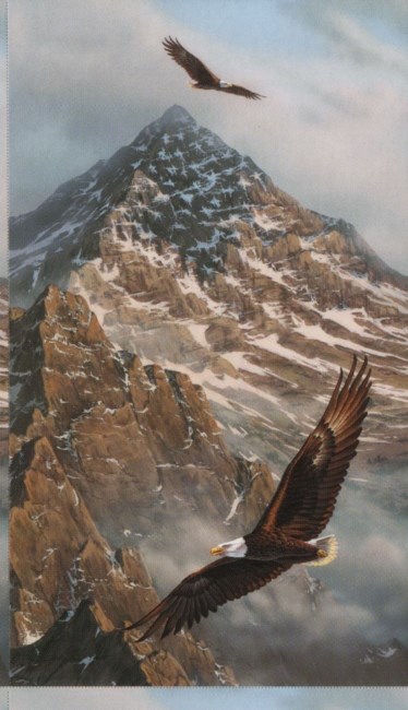 Obituary of Emilio Fernandez