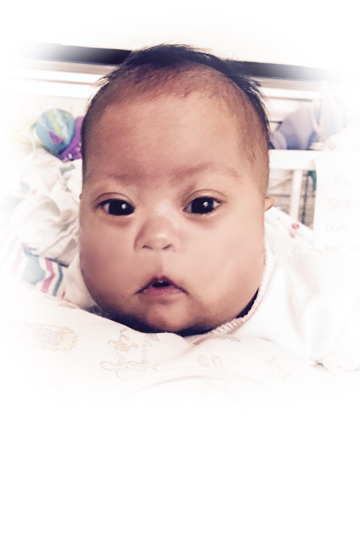 Obituary of Jazlene Andres Julian