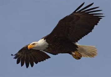 Obituary of James Ira Lasher