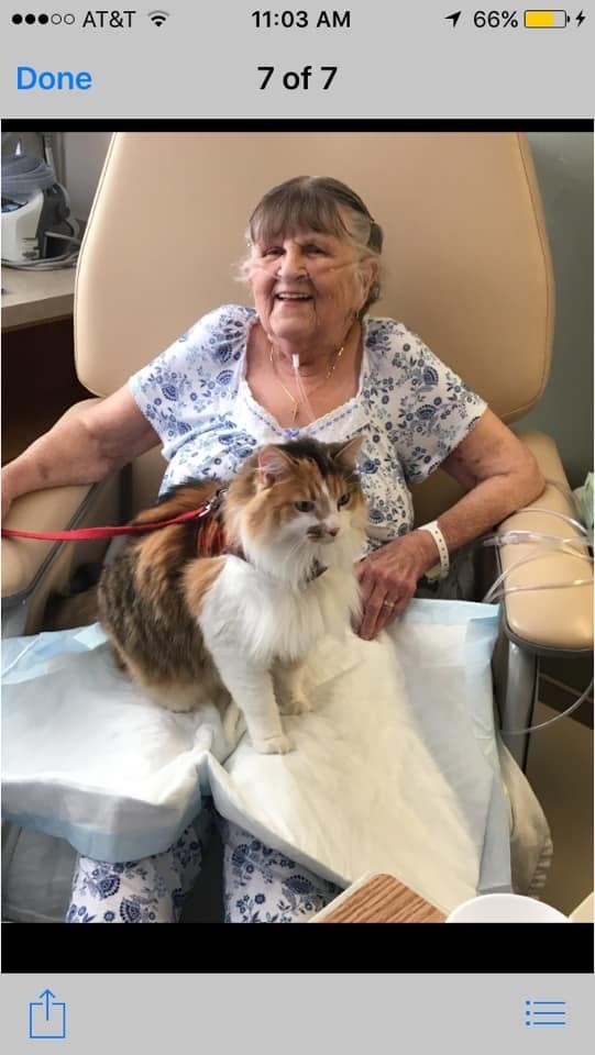 Obituary of Doris Viola Perryman